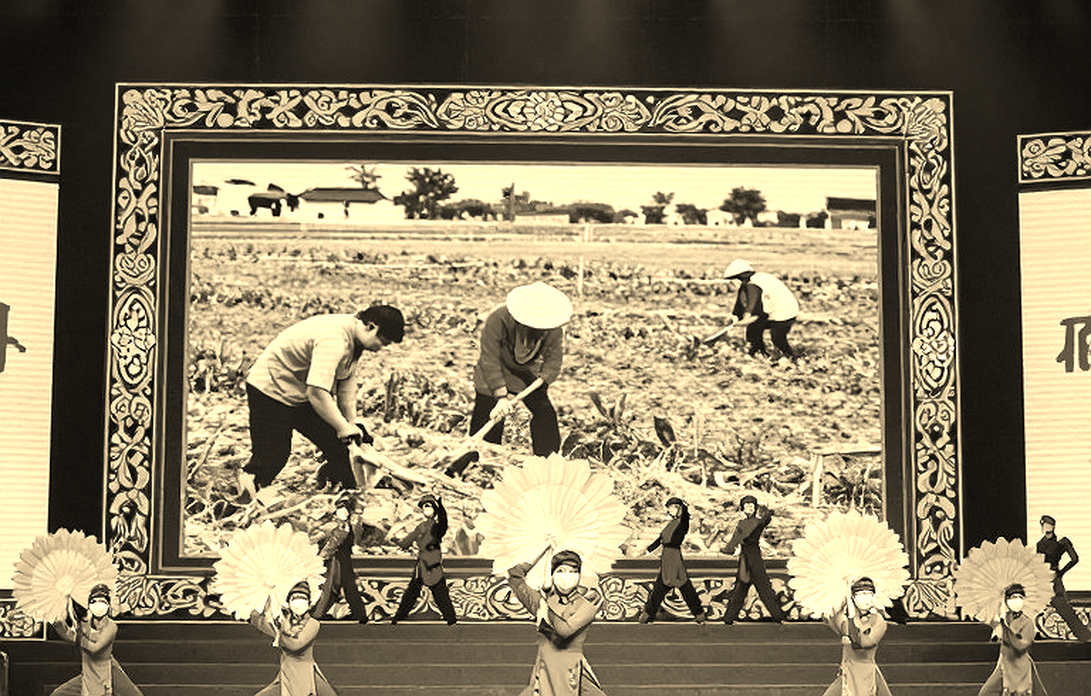 Võ thuật Việt Nam và bài toán dữ liệu: Khi sàn đấu thiếu những con số đáng tin
