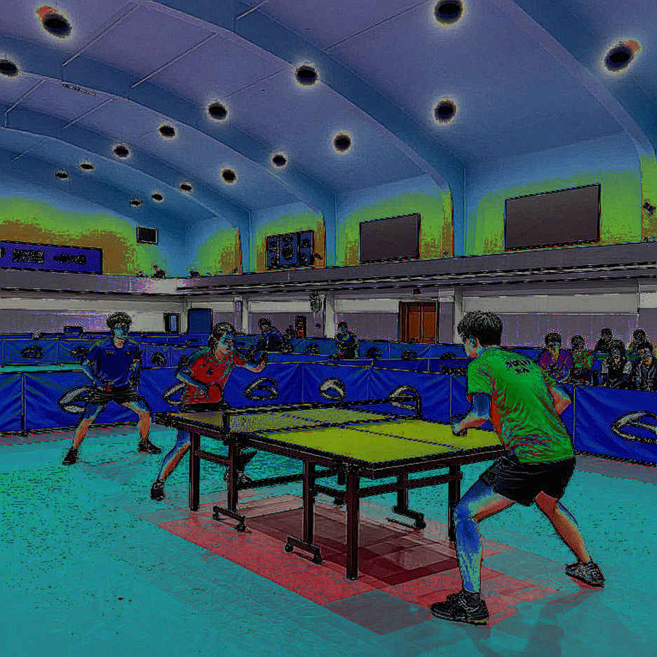 Vietnamese Table Tennis: A Journey to Asian Prominence Through Data