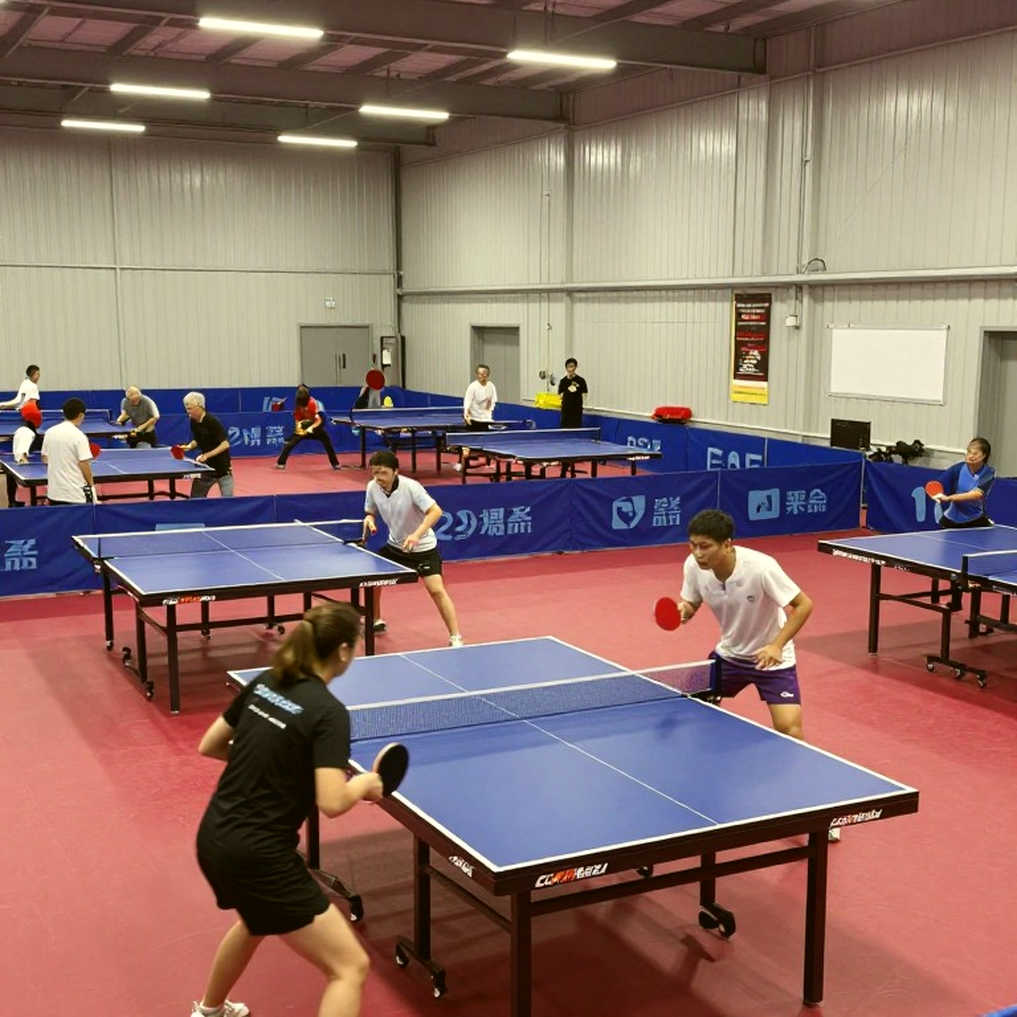 Vietnamese Table Tennis: A Journey to Asian Prominence Through Data